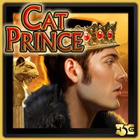 Cat Prince