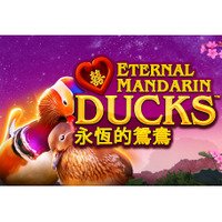 Eternal Mandarin Ducks