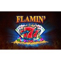 Flamin' 7's