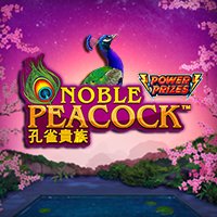 Noble Peacock - Power Prizes