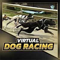 Virtual Dog Racing (NYX)