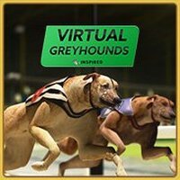 Virtual Sports - Greyhounds