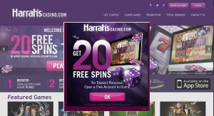 20 Free Spins